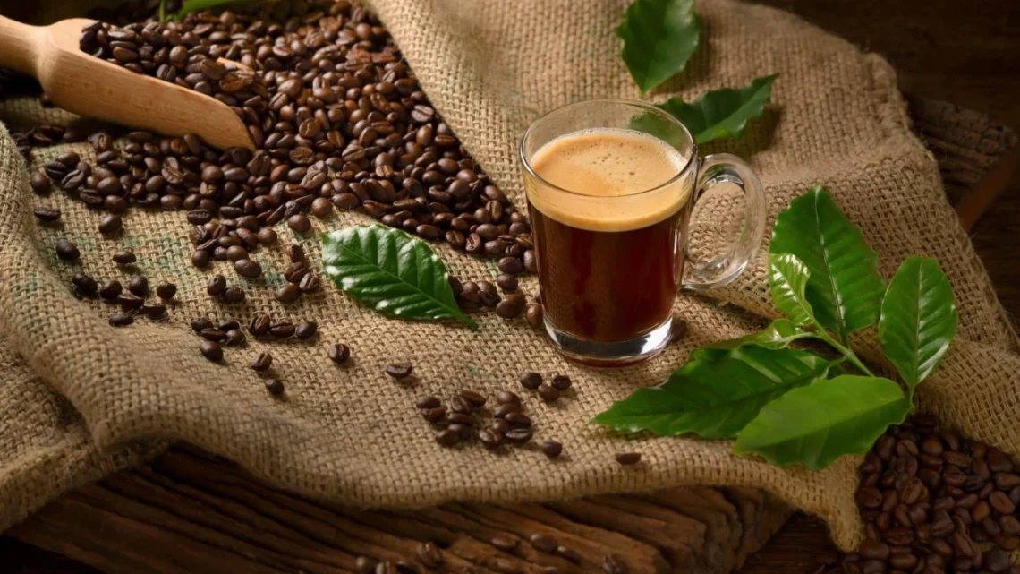 Jelajahi Asal Usul Kopi Single Origin Steep Brew