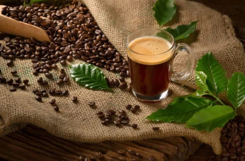 Jelajahi Asal Usul Kopi Single Origin Steep Brew