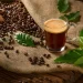 Jelajahi Asal Usul Kopi Single Origin Steep Brew